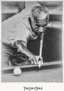 Image result for cecil tugwell