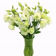Image result for eustoma lisianthus in vase