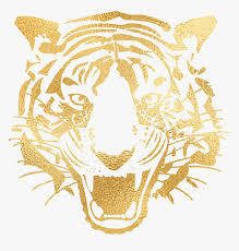 Maybe you would like to learn more about one of these? Hull City Ladies Football Club Hd Png Download Kindpng