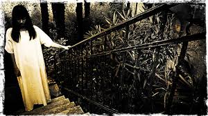Image result for inside the house at night spooky images