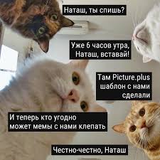 Приметы и поверья на яблочный спас если угостить друзей плодами из первого урожая, то на следующий год урожай яблок будет хороший, и год пройдет в достатке. Picture Plus Kartinka S Nastojchivymi Kotami Poyavilas V Facebook