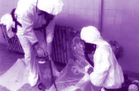 Sometimes psychosocial health can be. Asbestos Standard For The Construction Industry