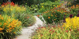 'transpiration' is one of the processes by which plants release water. When To Cut Back Perennials In The Fall And How To Do It