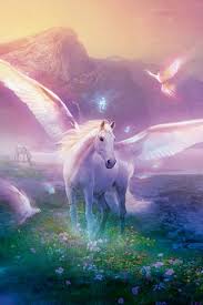 Pegaso Resimler Atlar Hayvan