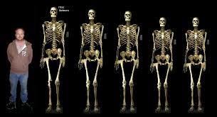 He estimated from the bone size that the human may have been about 3.50 m (11 ft 6 in) tall. Http Greaterancestors Com Wp Content Uploads 2011 11 Alaska Yellow Jacket Comparisons Bmp The Seabee S Ancient Giants Modern Native American Nephilim Giants