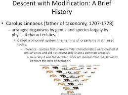 Unilineal lineages can be matrilineal or patrilineal, depending on whether they are traced through mothers or. Descent With Modification A Brief History Carolus Linnaeus Father Of Taxonomy Arranged Organisms By Genus And Species Largely By Physical Ppt Download