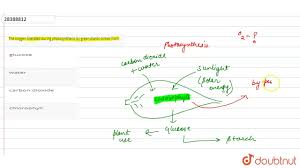 Solved] Question 23:Oxygen Liberated During Photosynthesis Comes From - ..