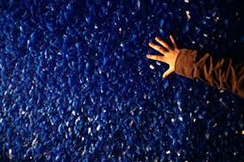 Seizure Elephant And Castle Seizures Tate Modern Exhibitions