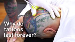 Isn't it awesome to know that the people before us were really tattooed? Otzi The Iceman A 5 000 Year Old Mummy Still Had 61 Distinguishable Tattoos On His Body Upon Discovery Insider Scoopnest