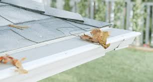 Reverse curve/surface tension this type of gutter guard is made from metal or plastic. Leaf Guard Vs Leaf Filter Which One Is The Best Laptrinhx News
