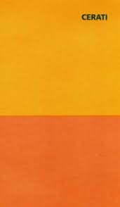 Amor Amarillo Gustavo Cerati Gustavo Cerati Famous Phrases Famous Musicians