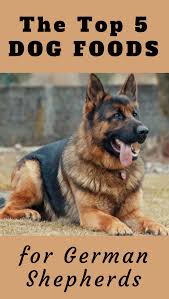 2020 S Top 5 Picks Of Best Dog Food For German Shepherds Best Dog Food German Shepherd Food Best Dogs