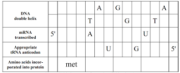 Solved Molecular Biology Through Discovery Problem Set 5