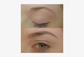 Eyebrow microblading technique overview for one of seattle's top microblading studios. Previous Light Brown Microblading Eyebrows Free Transparent Png Download Pngkey
