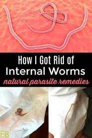 Can humans cough up worms? How I Got Rid Of Internal Worms Natural Parasite Remedy Eat Beautiful