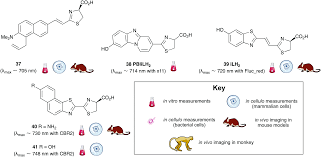 The h7 recessed housing is the standard in the industry for both commercial and residential applications. Applications Of Bioluminescence In Biotechnology And Beyond Chemical Society Reviews Rsc Publishing