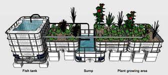Media Bed Technique In Aquaponics Rgj Aquaponics