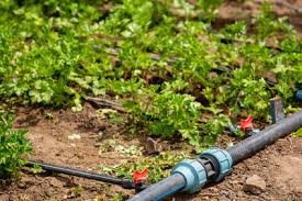 Oftmals ist die störung der natürlichen alterung geschuldet, aber auch bei umzug. Selber Wasserleitung Im Garten Verlegen Tipps Anleitung