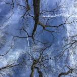 Winter Tree Identification Workshop: Botany and Bloom Series