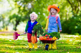 Direkt hinter dem spielplatz befindet sich eine milchbar, wo ihr euch mit eis, sehr leckerem milchkaffee oder kuchen stärken könnt. Wohnen Der Garten Als Kinderspielplatz Tipps Und Ideen Pressfrom Deutschland