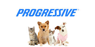 The progressive corporation is an american insurance company, one of the largest providers of car insurance in the united states. Progressive Pet Insurance Review 365 Pet Insurance