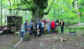 Groups visit Highgreen to explore and make