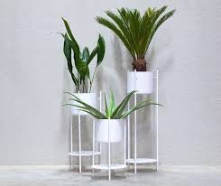 This stand is small enough for apartments or homes with limited. Ent Plant Stand Small White Xlboom Wallpaperstore