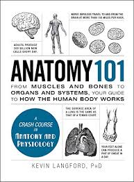 The movement of our bodies is possible because of both joints and muscles. Anatomy 101 From Muscles And Bones To Organs And Systems Your Guide To How The Human Body Works Adams 101 English Edition Ebook Langford Kevin Amazon De Kindle Shop