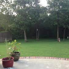 Just drive through any neighborhood and you can pick out a lawn america yard. Lawnamerica Home Facebook