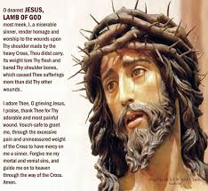 O dearest Jesus, Lamb of God most meek, I, a miserable sinner, render  homage and worship to the wounds upon Thy shoulder made by the heavy cross.  Thou didst carry. Its