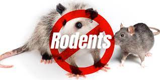Rodents in winter, stink bugs in fall, etc.) every time is easy, efficient and. Homepage Aardvark Pest Control Inc