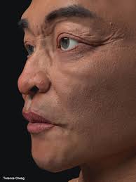 Terence Cheng's sketchbook