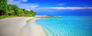 Bahama & co.® brings you the vivid fragrances of the tropics and delivers them with fun whether it is the relaxed aroma of a tropical drink or exotic fragrances of tropical flowers and fruits, bahama. Grand Bahama Islands Shopping Duty Free Shopping Blue Marlin Cove