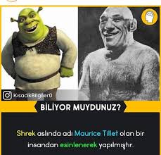 Pin By Zeynolm On Bilgi In 2020