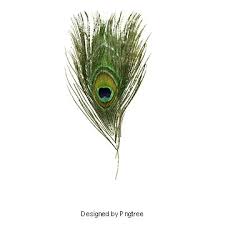Peacock Feather Peacock Clipart Peacock Feather Png Transparent Clipart Image And Psd File For Free Download Peacock Feather Peacock Feather