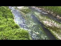 Calmer by the Water 5 Minute Trailer June 11th 2013