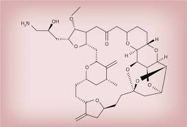 Image result for Eribulin