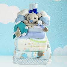 Newborn Baby Boy Starter Kit