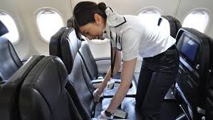 日本創作歌手 櫻 小姐 日前將母親的遺照和牌位放入袋中 乘坐飛機返鄉 一開始空服員 請她將袋子放置行李架上 櫻 小姐不願意 直到表明 裡面是母親的遺照 我會抱緊它 可以嗎 空服員立刻向她致歉 另一位空服員則表示 旁邊空位是沒有乘客的 請乘客坐上來一起