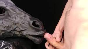 Gay horse cumshot