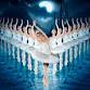 World Ballet Company - Swan Lake