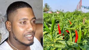 Maurice : il vole plusieurs kilos de piments à un planteur, il a été lynché  à mort