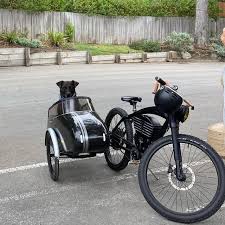 Image result for bicycle sidecar