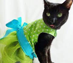 Coolcats Lime Polkadot Tutu Dress For Cats Easter Dress Formal Wear Wedding Pet Clothes Cat Clothes Cat Obsession