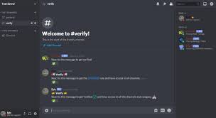 Then, invite carl bot to your server and set it up to allow members to assign their own roles. Make Verification System For Your Discord Server By Epicgaming81 Fiverr