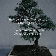 The Karate Kid Mr Miyagi S Best Quotes On Life Chipmonk Baking