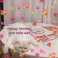приколы с животными смотреть онлайн бесплатно в хорошем качестве Pin Na Doske Valentinko