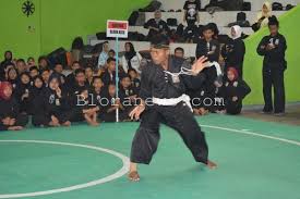 Sejarah psht lengkap falsafah tingkatan makna senjata gambar. Kejuaraan Psht Kapolres Cup Digelar Di Gor Kolonel Sunandar Bloranews