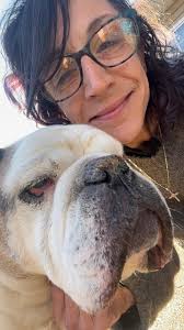 English Bulldog dog photos and stories