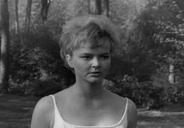 7% erica's reputation score is (7%) above the national average. The Saint The Golden Journey Tv Episode 1962 Imdb